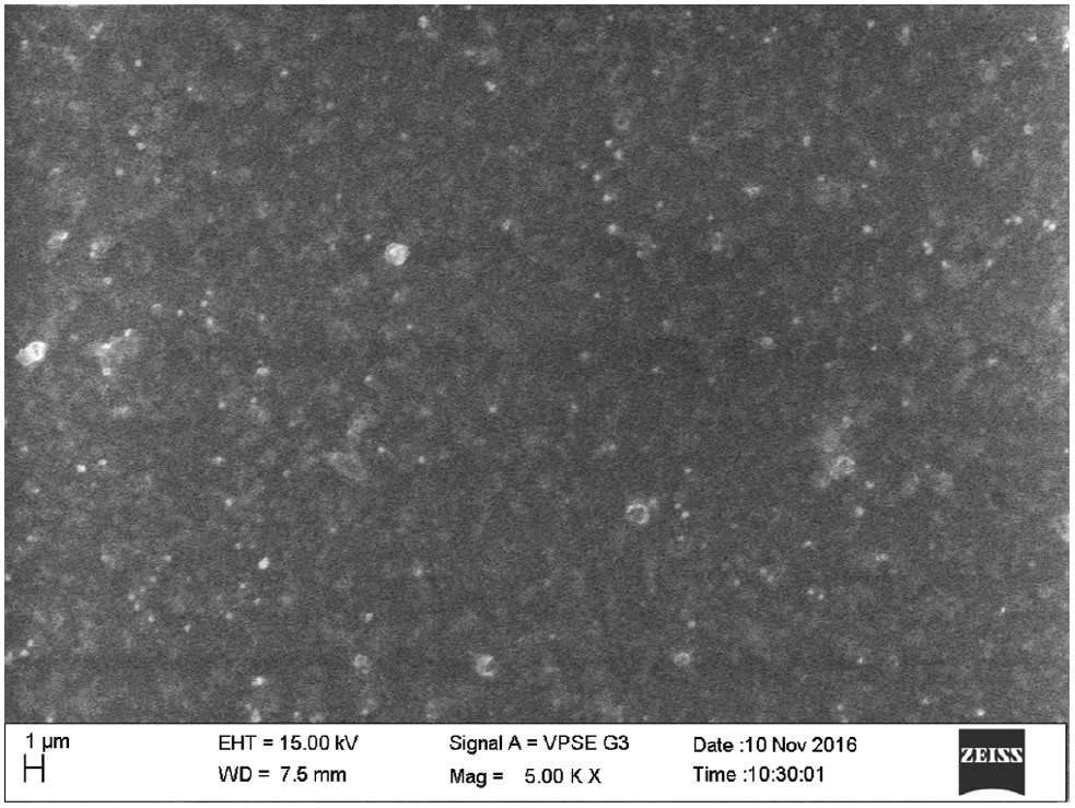 Figure 4: SEM image of SNPs synthesized using BRLE.