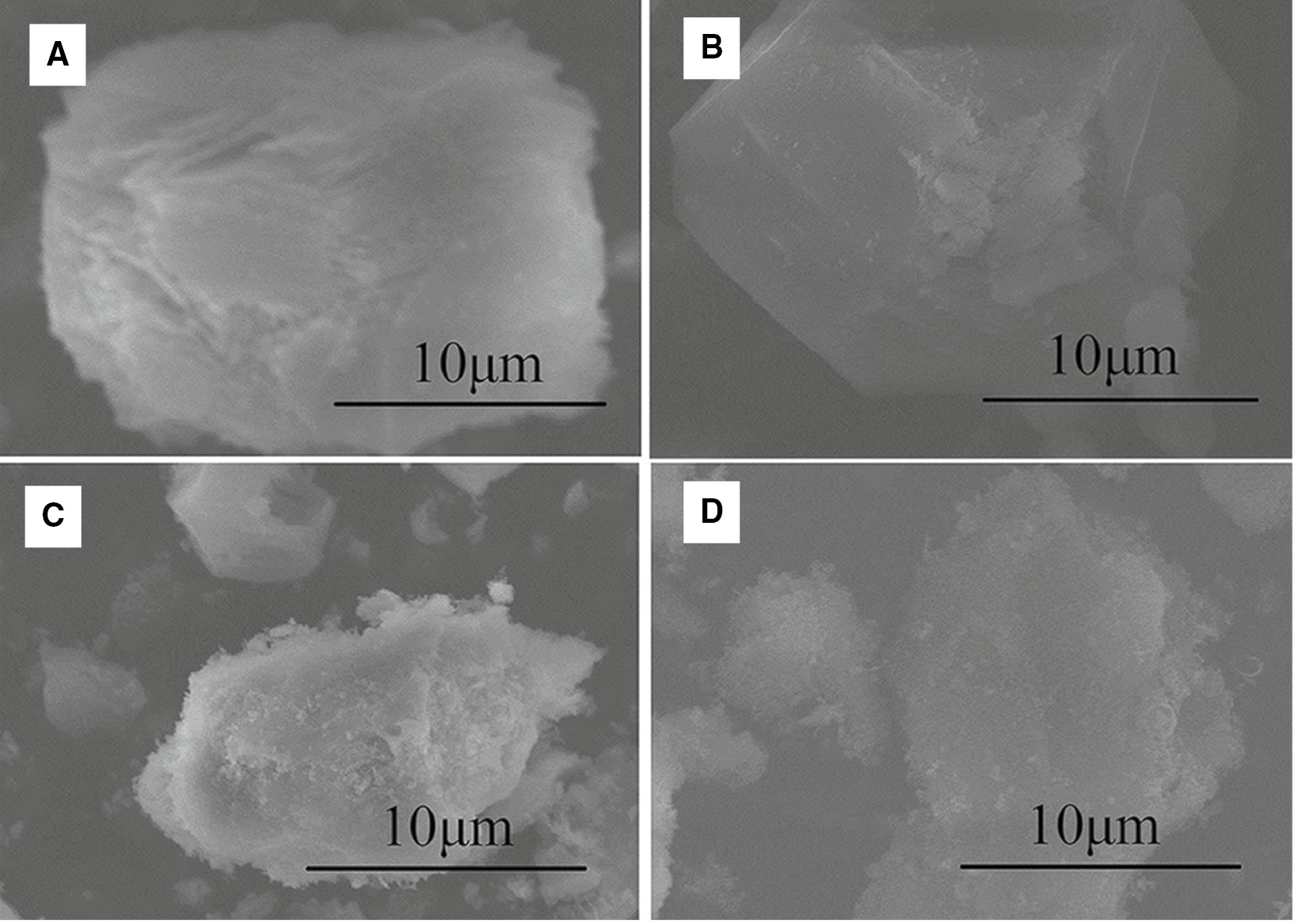 Figure 2: SEM images of the pyrolysis products (A) 700°C, (B) 800°C, (C) 900°C, (D) 1000°C.