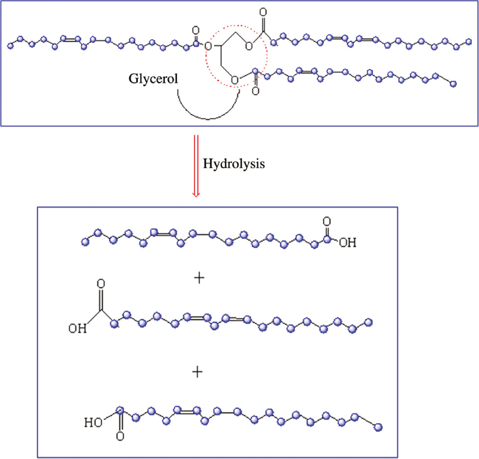Scheme 1: Hydrolysis of SO.