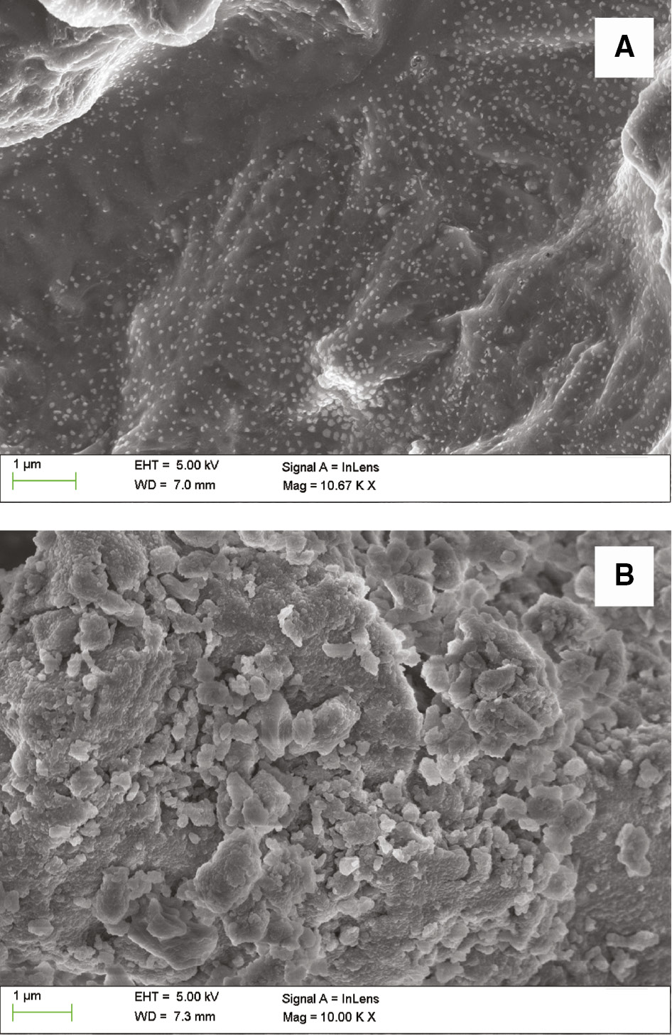 Figure 3: Scanning electron microscopy (SEM) images of (A) sodium metasilicate, (B) sodium silicate calcined at 400°C.