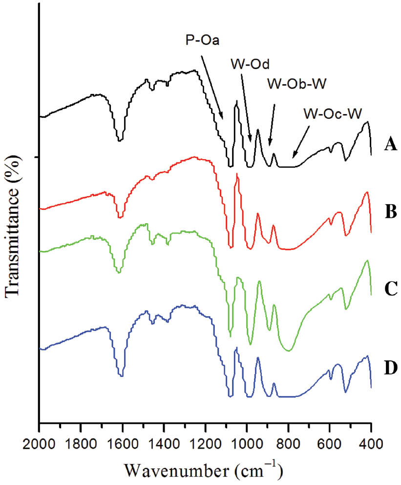 Figure 1: Fourier transform infrared (FTIR) spectra of the as-prepared MPW12 series of catalysts: (A) Co, (B) Cu, (C) Fe, (D) Zn.