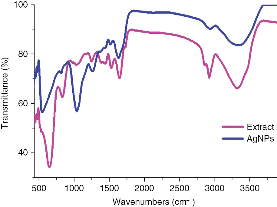 Figure 2: FTIR spectra of M. polymorpha leaf extract and synthesized AgNPs.