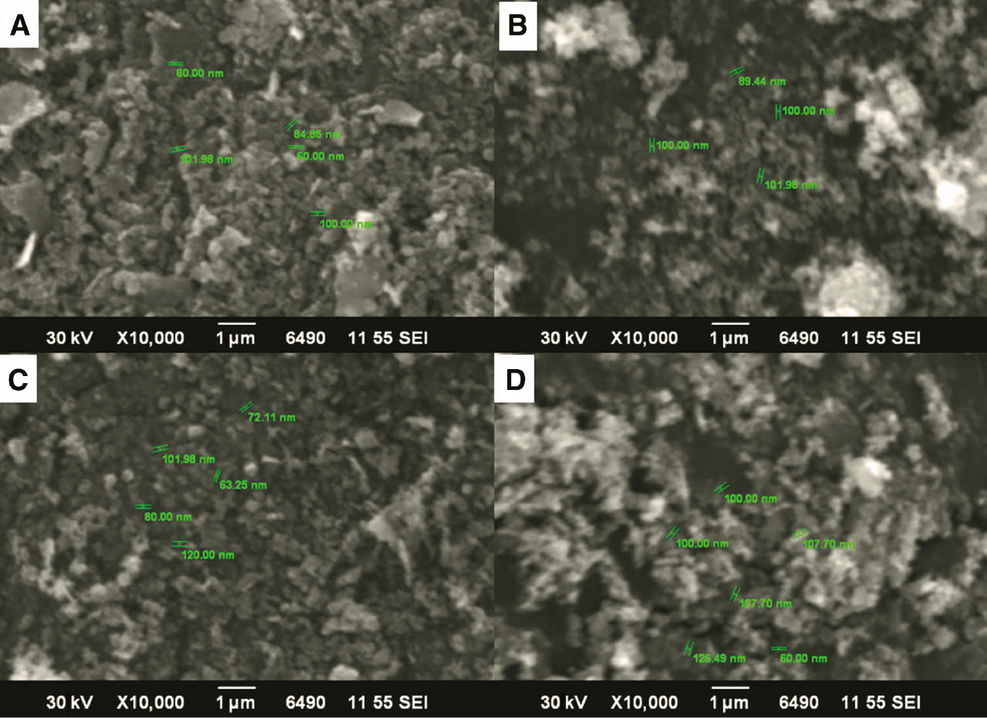 Figure 3: Scanning electron microscopy micrographs of foliar doped nanoparticles at (A) 30, (B) 50, (C) 70, and (D) 90 ml P. cerasifera leaf extract concentration.