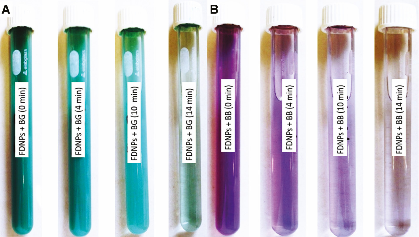 Figure 5: Foliar doped nanoparticles triggered achromatization in (A) bromocresol green and (B) bromophenol blue upon direct solar irradiation.