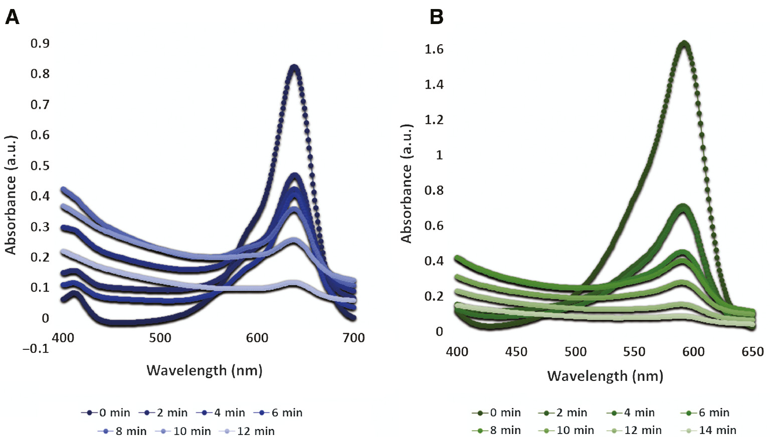 Figure 6: Photocatalytic role of foliar doped nanoparticles and alleviating UV-Vis spectra with time: (A) bromocresol green and (B) bromophenol blue.
