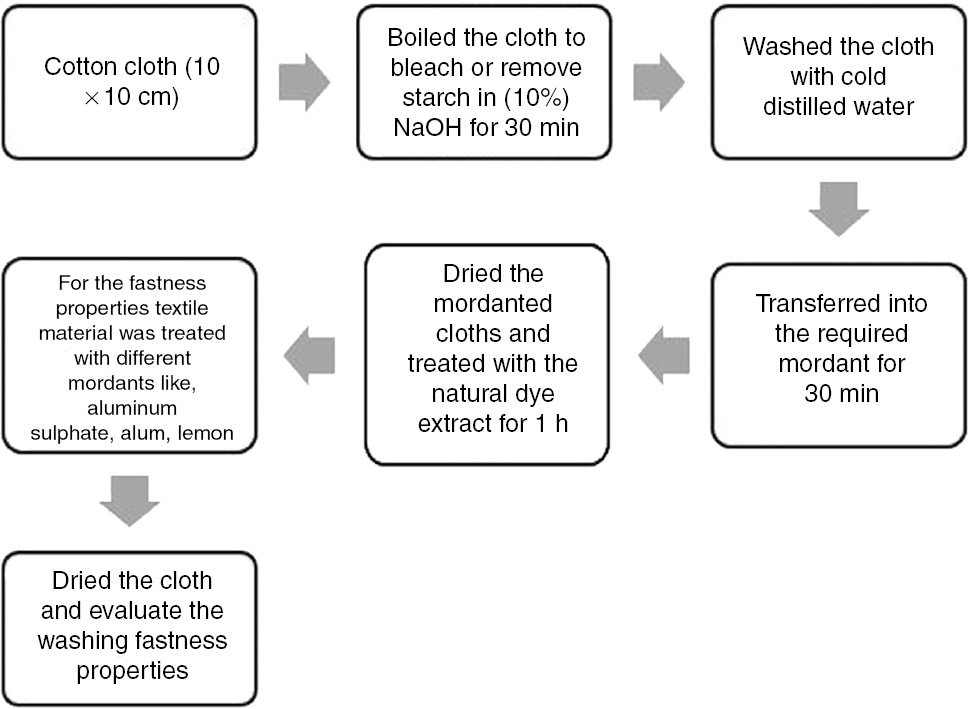 Figure 1: Flow chart showing the dying procedure.