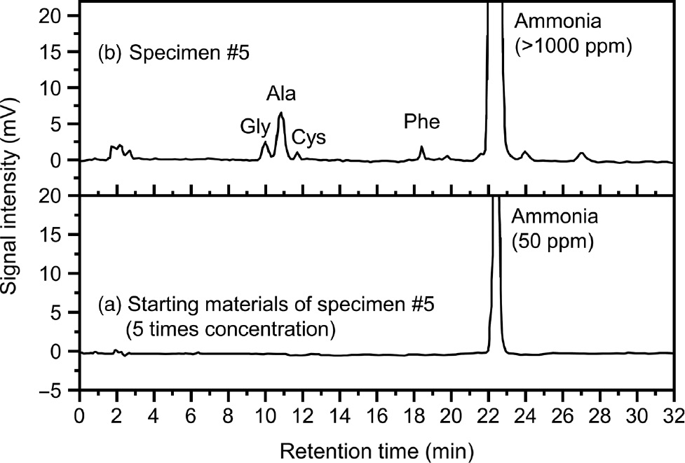 Figure 5: Analysis of amino acids in specimen 5 and its starting materials.