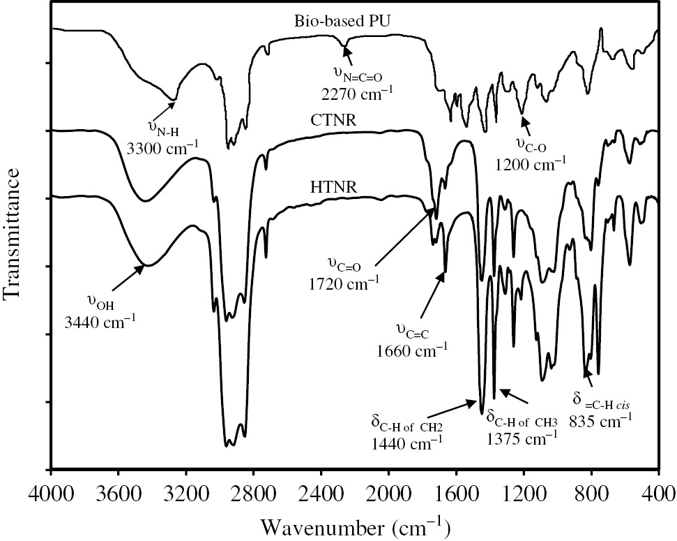 Figure 8: FT-IR spectra of CTNR, HTNR, and biobased polyurethane.