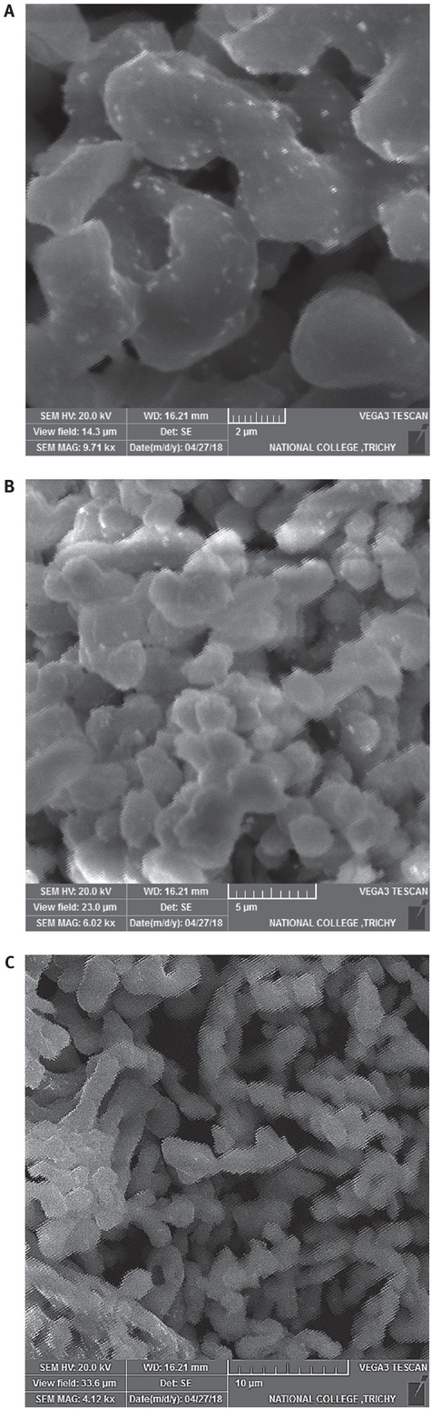 Figure 2 SEM images of calcined eggshells. (a) 9.71kx magnification, (b) 6.02kx magnification, (c) 4.12kx magnification