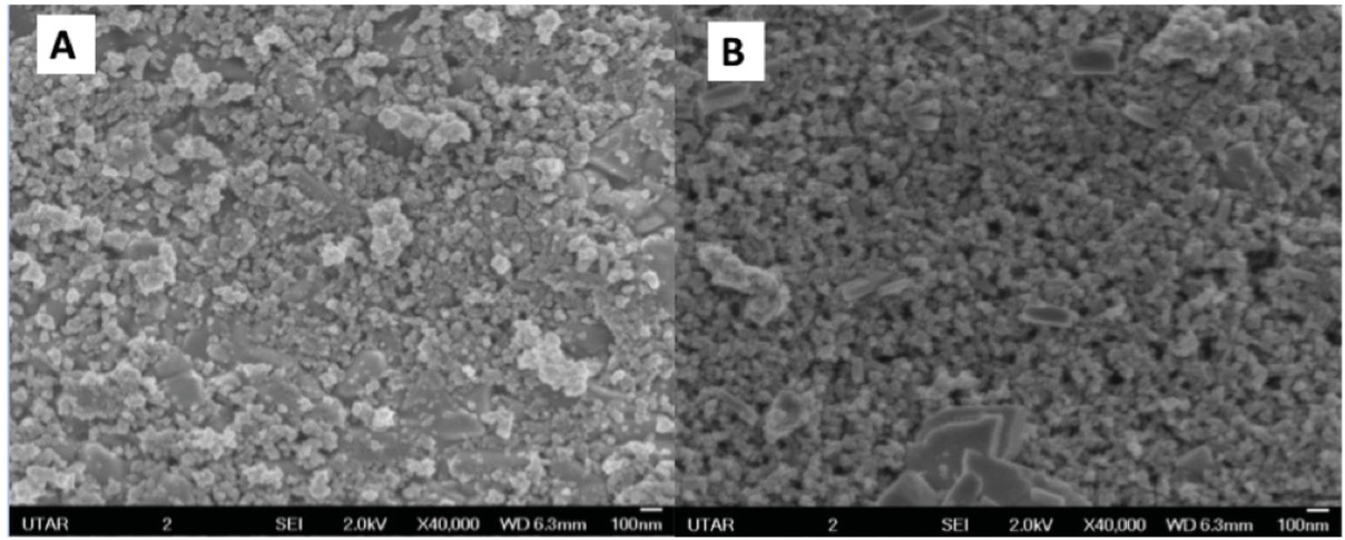 Figure 2 SEM micrographs of photoanode surface at 40,000x magnification. (a) Bare TiO2 layer; (b) TiO2/SnS layer.