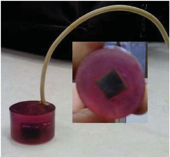 Figure 2 The steel embedded in the epoxy resin used for chronoamperometry experiments.