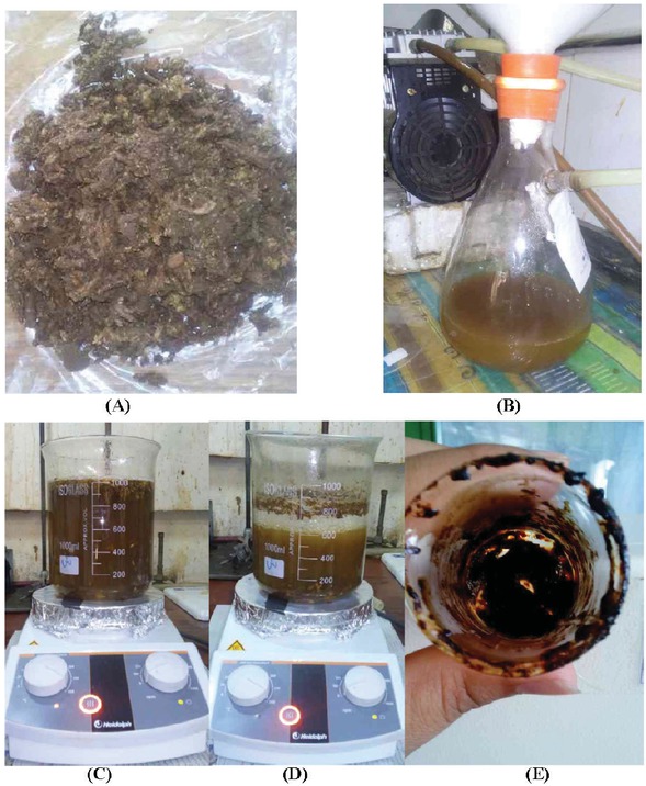 Figure 3 An illustration for different stages of Gypsophila aretioides extraction (a) grated roots, (b) aqueous extract, (c) clarified extract, (d) boiling extract and (e) dried extract.