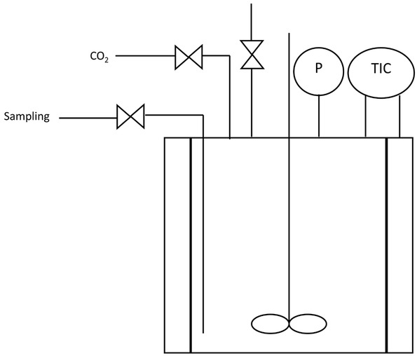 Figure 2 Scheme of the reactor used for the carbonation.