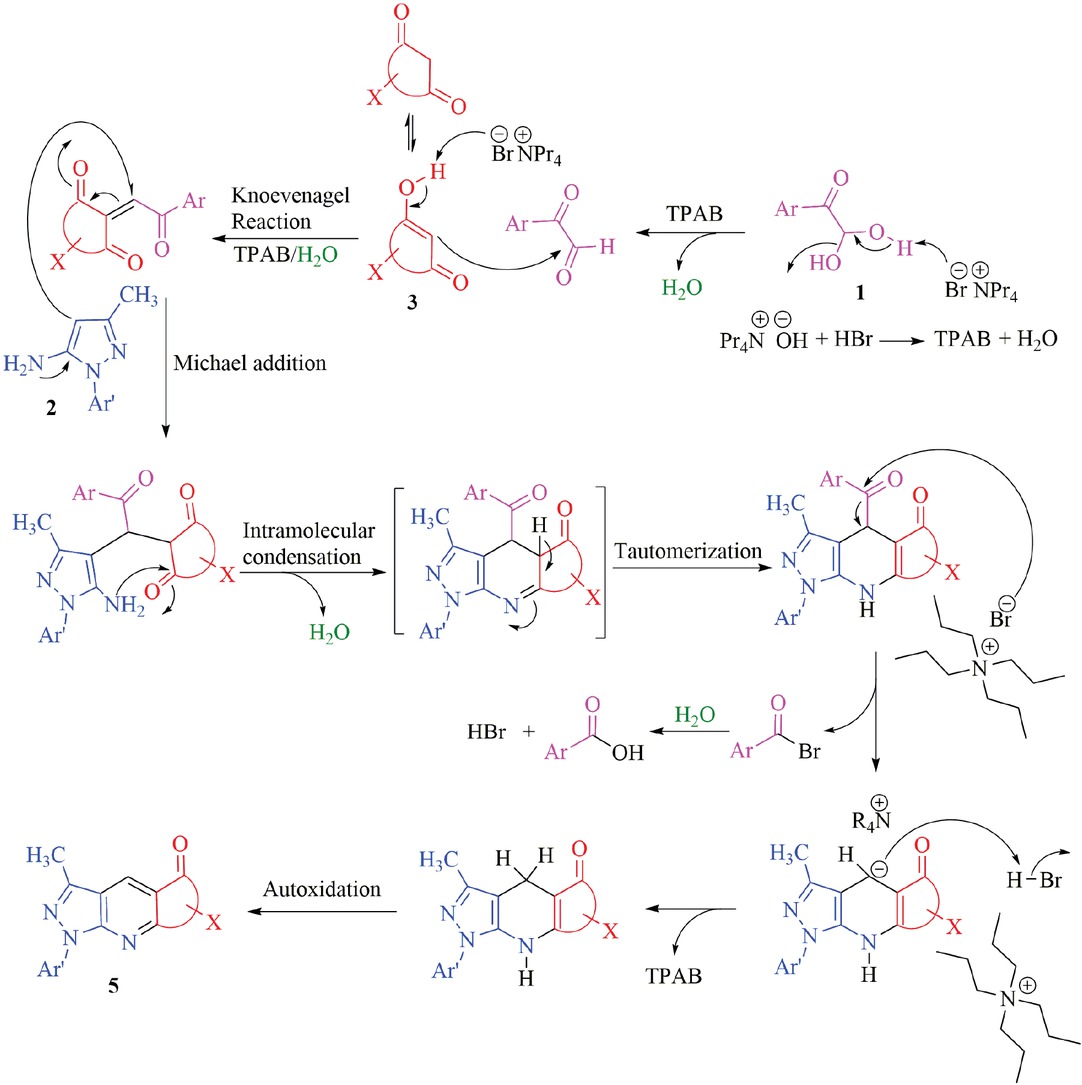Scheme 2 A plausible mechanistic pathway for the formation of 5.