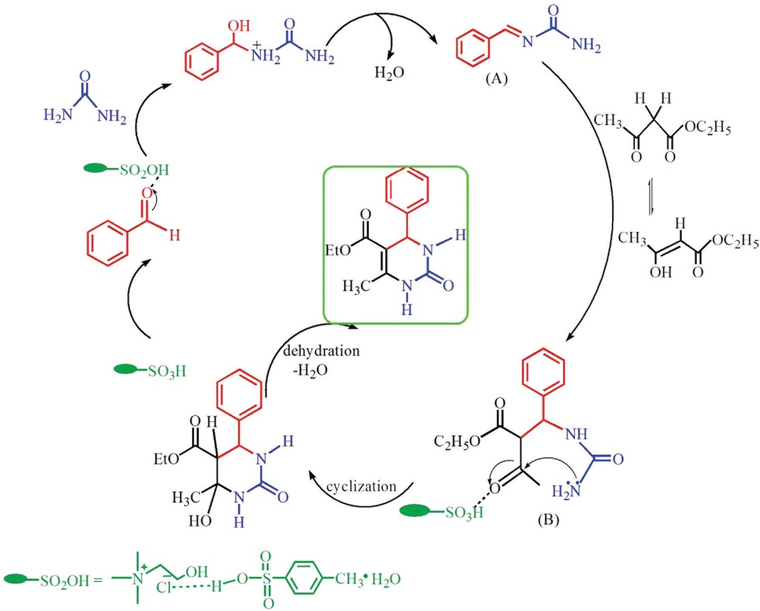 Figure 3 Mechanism of Biginelli reaction in the presence of ChCl/2PTSA.