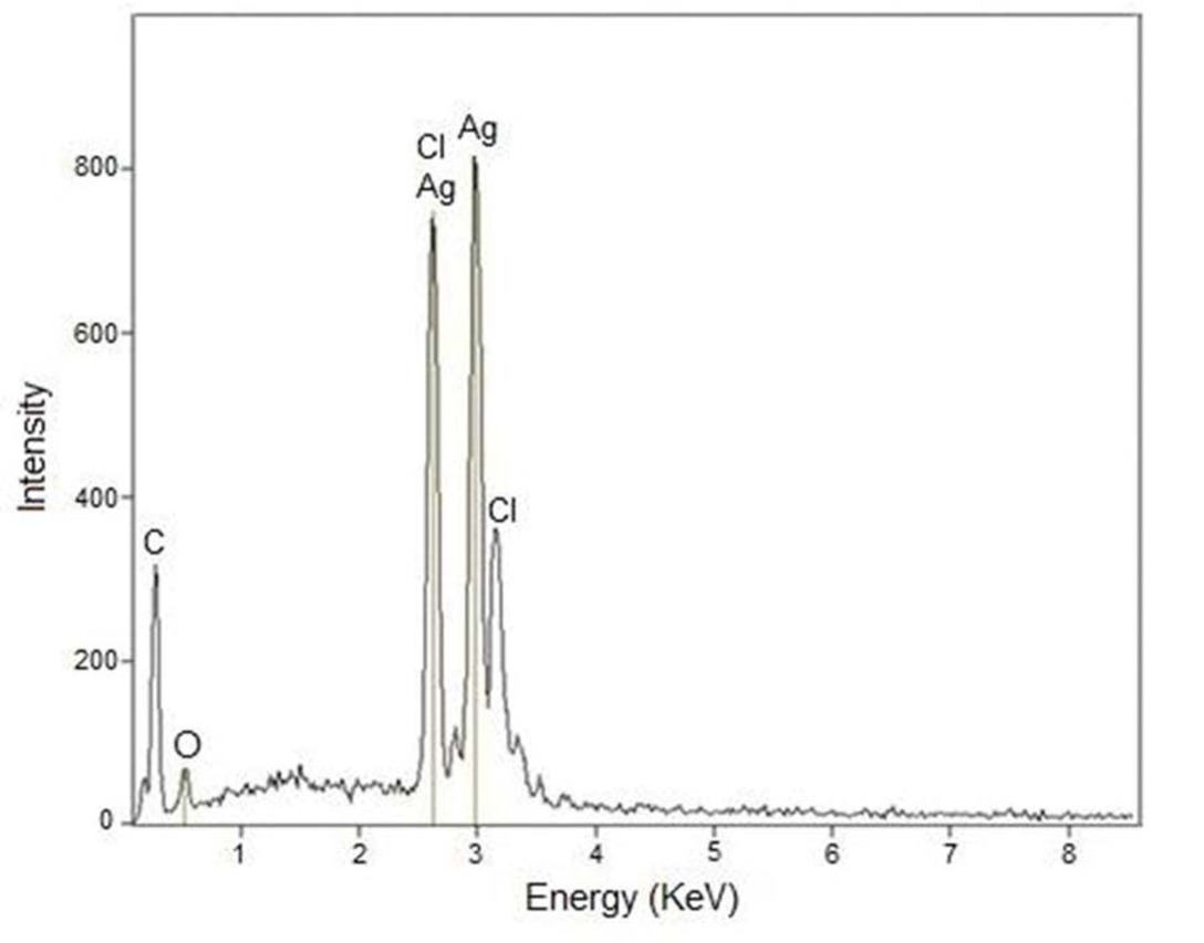 Figure 7 EDX spectrum of green synthesized nanoparticles.