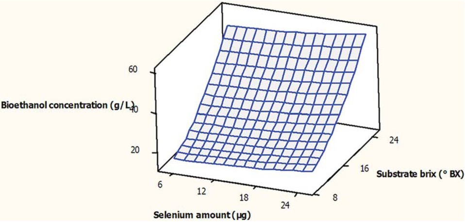 Figure 2 Surface plot for concentration of the produced bioethanol (g/L) as function of the substrate brix (°Bx) and amount of selenium (μg), during submerged fermentation.