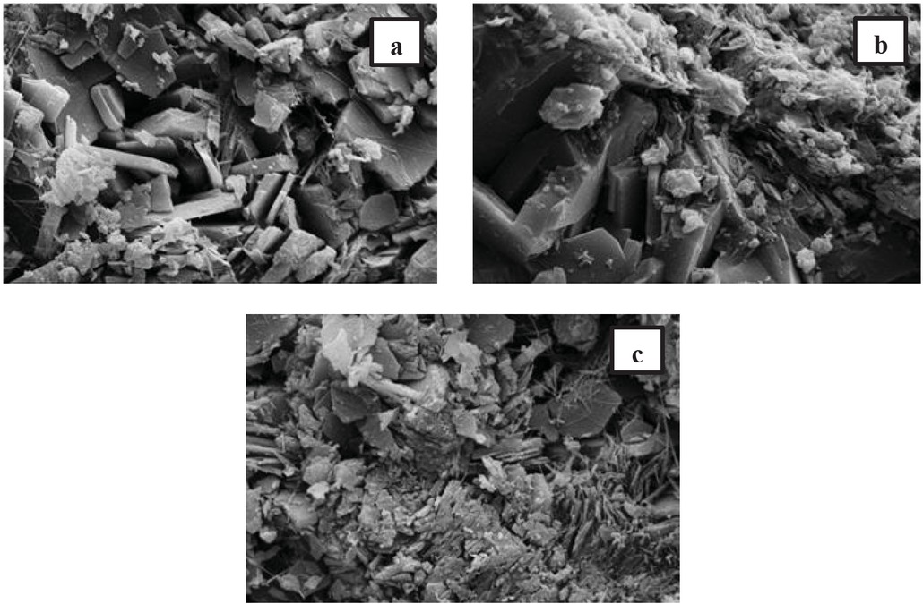 Figure 3 Surface cross-section of catalysts with magnification 5000x: (a) KZ-HCl-1 catalyst surface cross-section, (b) KZ-NaOH-1 catalyst surface cross section, (c) KZ-DW catalyst surface cross-section.