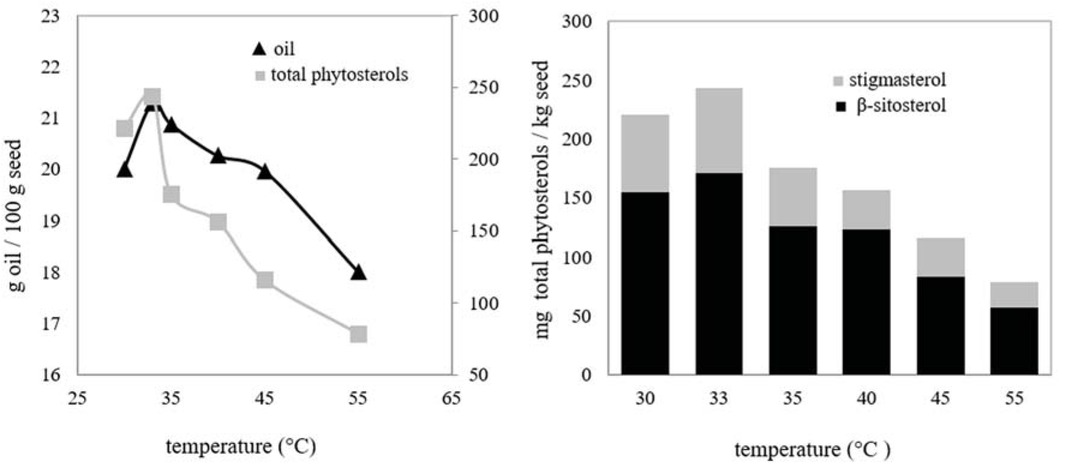 Figure 2 Effect of temperature on the amounts of seed oil and phytosterols: 200 bar, 7 g CO2/min, 0.8 mm mean particle size, 2 h.