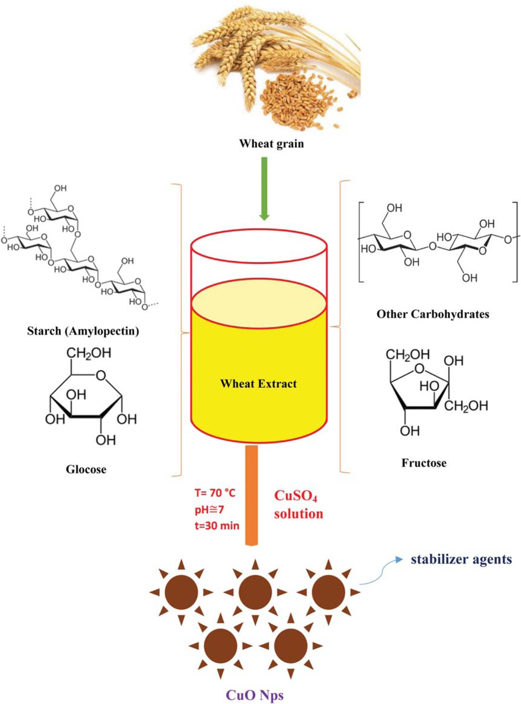 Scheme 1 One-pot green synthesis of CuO nanoparticles using aqueous wheat extract.