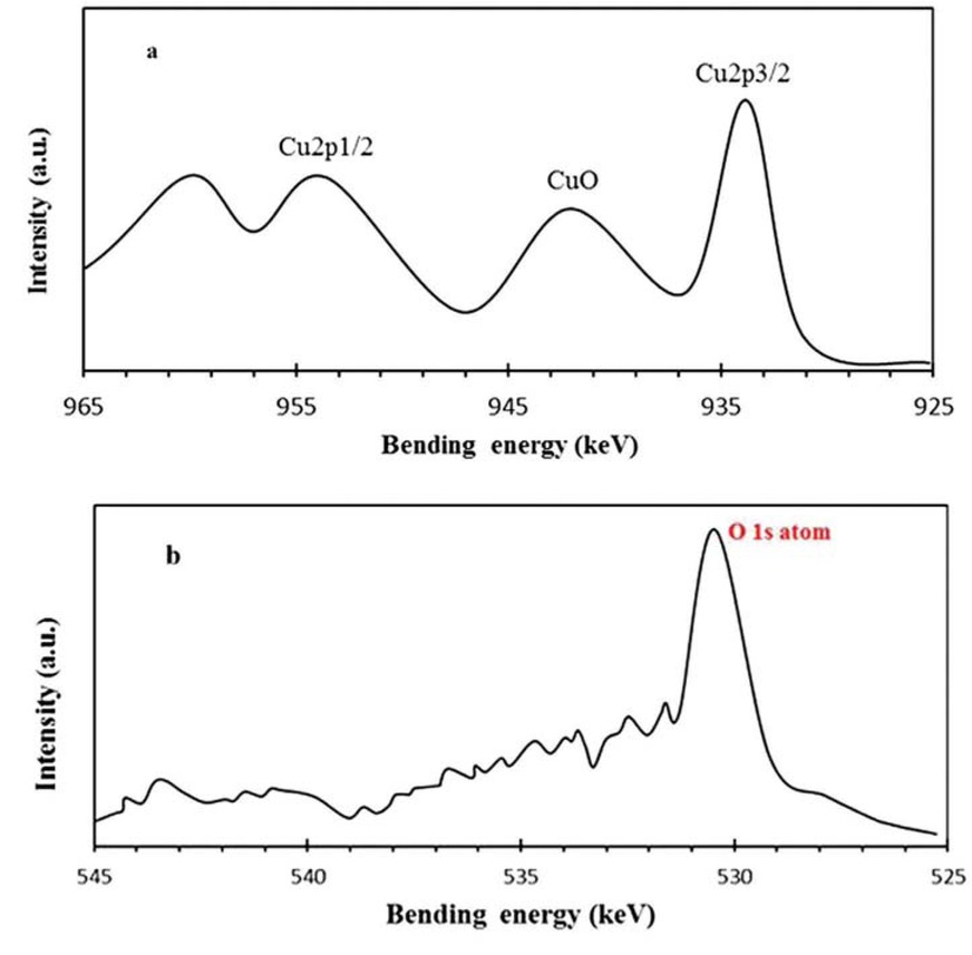 Figure 4 XPS spectra of wheat-mediated CuO NPs, (a) Cu 2P and (b) O 1s.