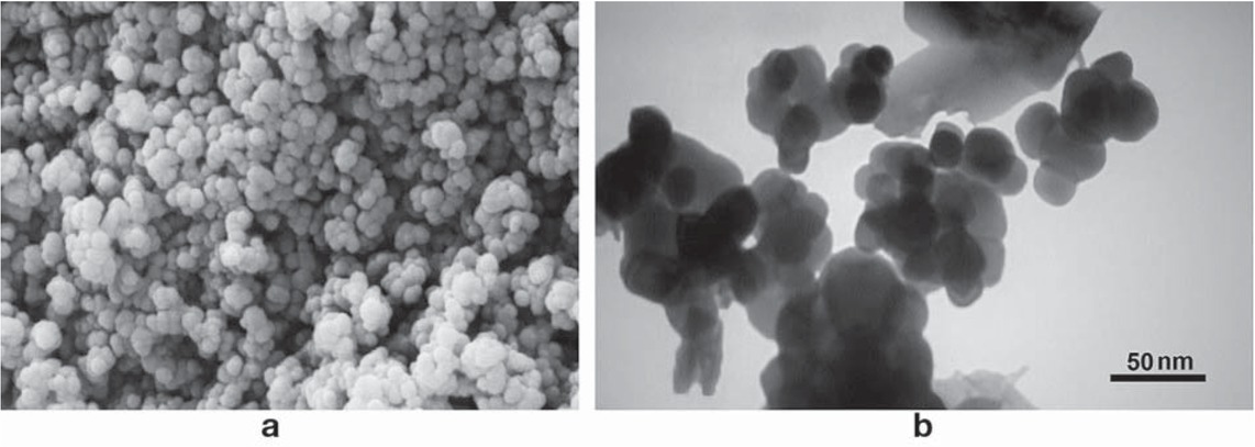Figure 5 (a) SEM image at high magnification (150x) and (b) TEM micrograph of bio-assisted CuO NPs.