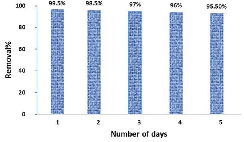 Figure 7 Reusability test of wheat-mediated CuO NPs catalytic efficiency toward 4-nitrophenol pollutant elimination.
