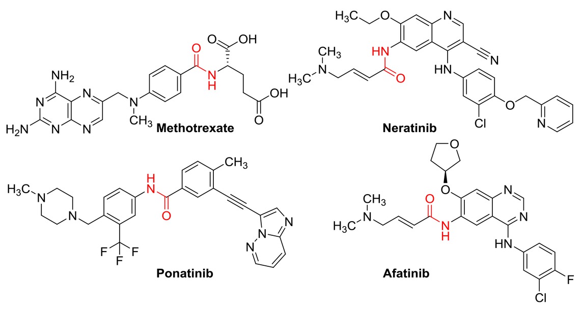 Figure 1 Representative examples of amide-containing drugs.