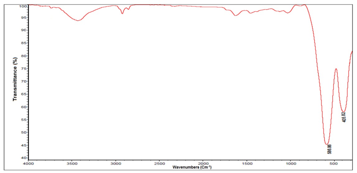 Figure 3 FT-IR spectrum of the CuFe2O4 MNPs.