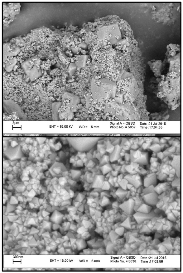 Figure 5 SEM images of the CuFe2O4 MNPs.