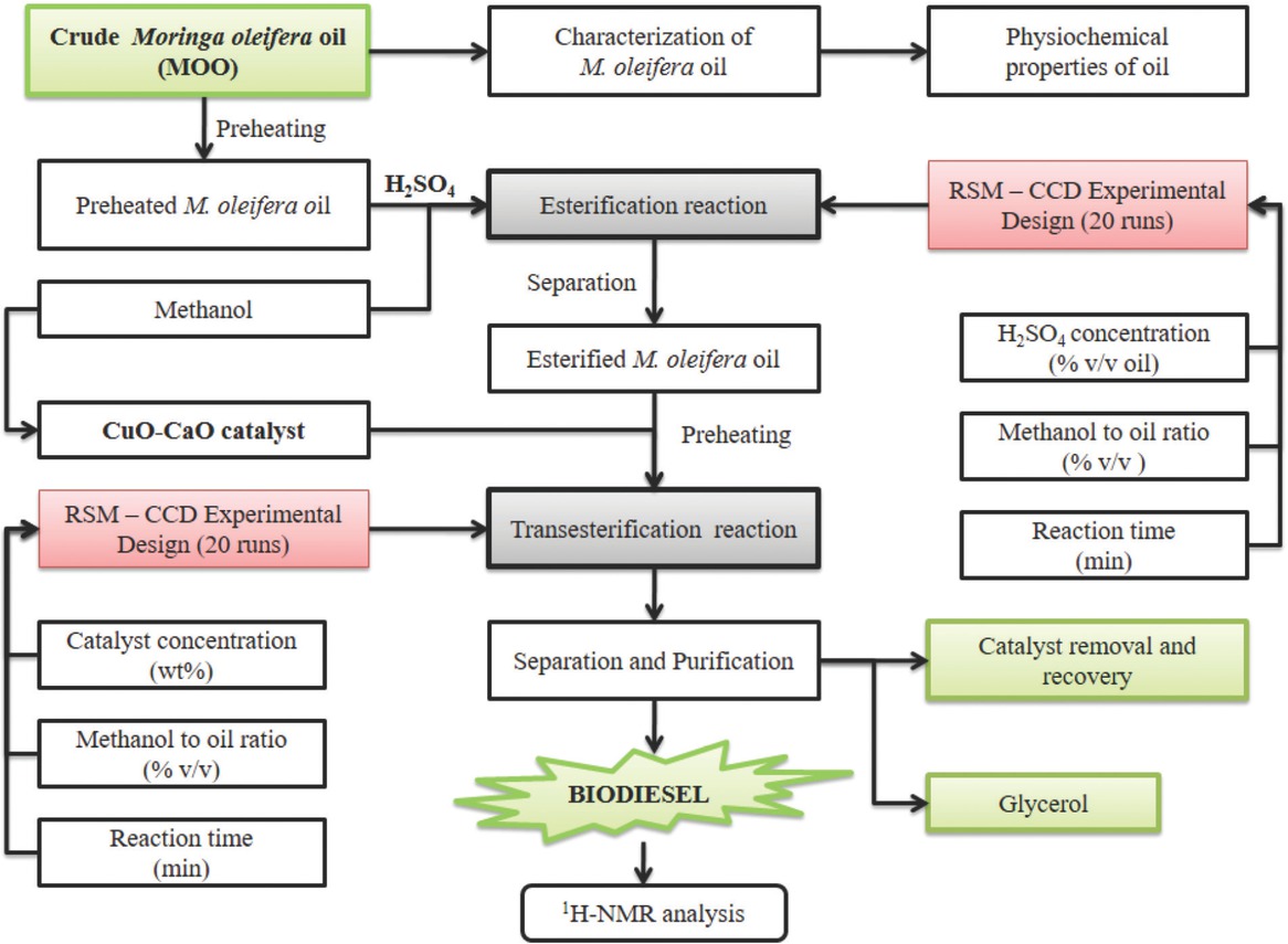 Figure 3 Overall scheme of biodiesel production from Moringa oleifera oil.