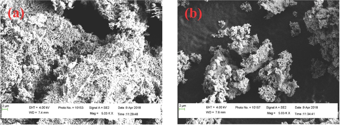 Figure 6 SEM image of (a) CuO-NP and (b) CuO-CaO catalyst.