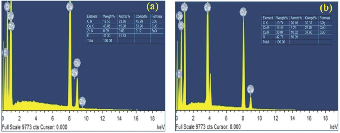 Figure 7 EDAX spectrum of (a) CuO-NP and (b) CuO-CaO catalyst