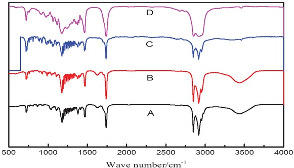 Figure 9 Infrared spectra of (A) ethyl, (B) propyl, (C), butyl and (D) amyl stearate esters.