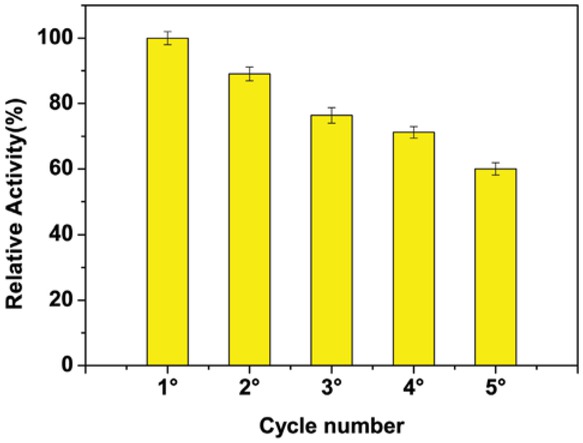 Figure 3 Effect of cycle number on biodiesel production for immobilized lipase. Methanol/oil ratio 6:1 M. Immobilization conditions – coupling temperature: 4°C; coupling pH: 3; coupling time: 3 h; lipase amount: 2 mg. Reaction conditions – reaction time: 24 h; reaction temperature: 45°C; lipase concentration: 10%.