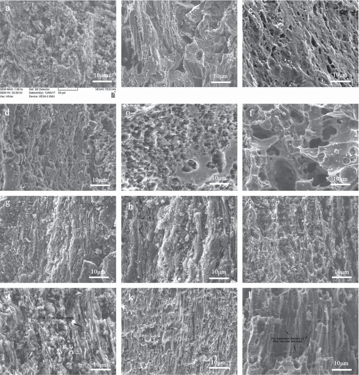 Figure 5 SEM images of BACs: (a,g) BAC-600, (b,h) BAC-700, (c,i) BAC-800, (d,g) BAC-900, (e,k) BAC-1000, (f,l) BAC-1100.