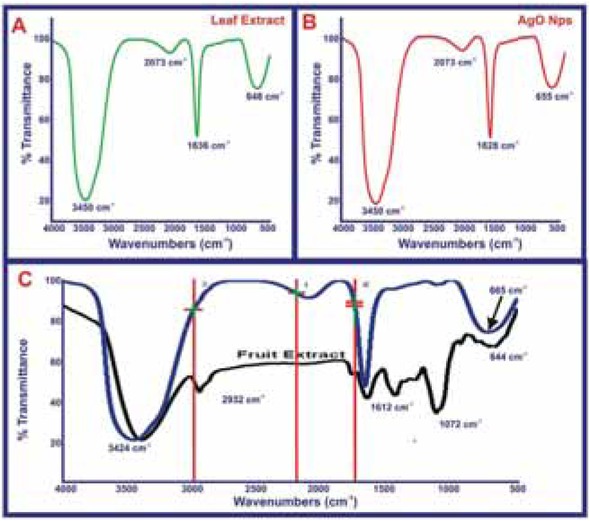 Figure 7 FTIR spectra of synthesized silver nanoparticles using (a) A. bilimbi leaf extract, (b) silver nanoparticle, (c) Plum fruit extract.