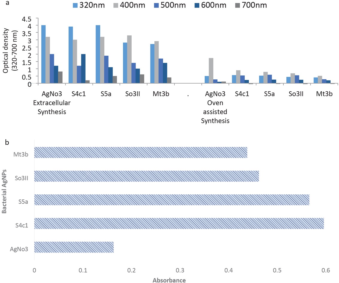 Figure 1 (a) Extra-cellular and oven assisted synthesis of bacterial AgNPs; (b) UV-Visible spectroscopic analysis of bacterial AgNPs.