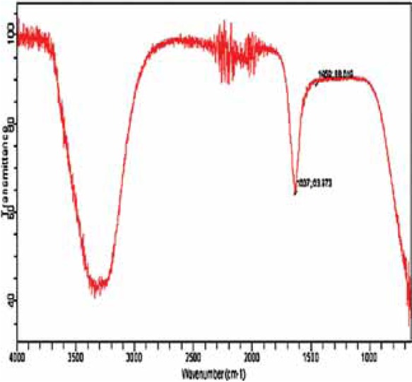 Figure 3 FTIR spectrum of bacterial AgNPs.