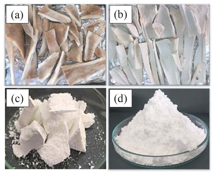 Figure 1 Pictures of bovine bone treated by: (a) hot water at 100°C, 24 h; (b) 0.1 M NaOH solution, 48 h; (c) calcination at 900°C, 6 h; (d) ball milling for 30 min.