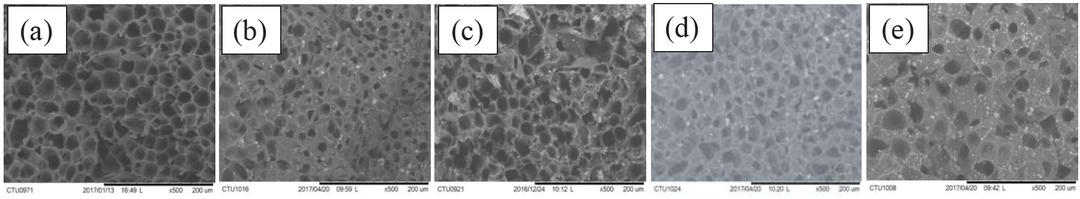 Figure 8 SEM images of scaffolds prepared in different HA contents: (a) 0%, (b) 5%, (c) 10%, (d) 15%, (e) 20%.