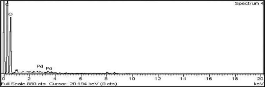 Figure 8 The EDX pattern of the synthesized palladium nanoparticles.
