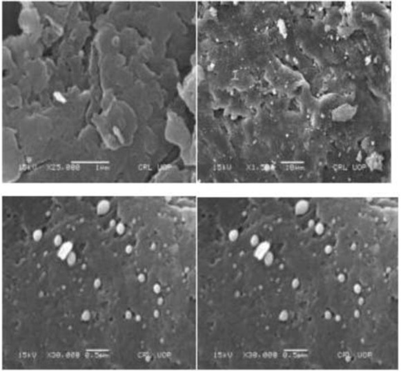Figure 9 The SEM image of palladium nanoparticles at different angles.