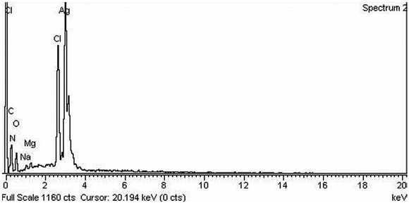 Figure 7 EDX spectrum of biologically synthesized silver nanoparticles by Diospyros lotus.