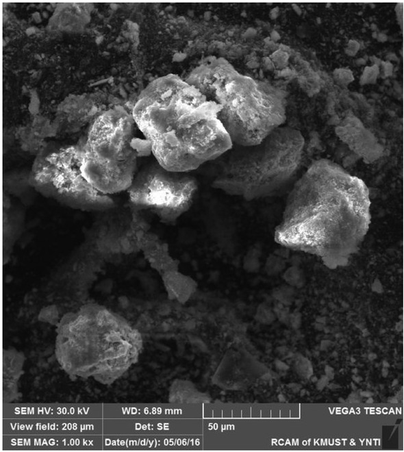 Figure 5 The SEM image of raw materials.