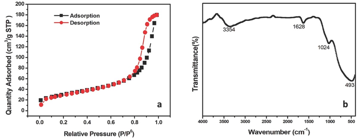 Figure 4 (a) Adsorption- desorption isotherms curve of the synthesized nanoparticle; (b) FTIR plot of synthesized TiO2 NPs.