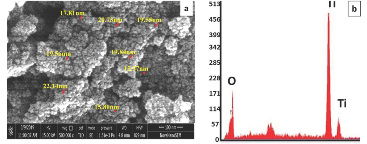 Figure 5 SEM-EDX image of synthesized TiO2 NPs.
