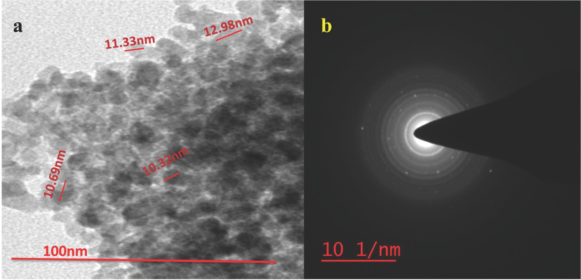 Figure 6 TEM analysis.
