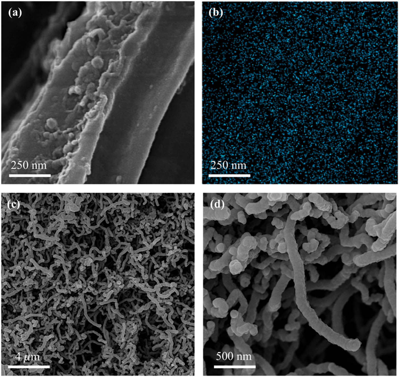 Figure 1 FESEM images of different magnifications: (a) WH/Fe surface before CVD process, (b) the EDS mapping showing the consistency distribution of the Fe element, (c) low magnification of dense and entangled as-growth CNTs after CVD process at 650°C, and (d) high magnification of the surface structure of as-growth CNTs.