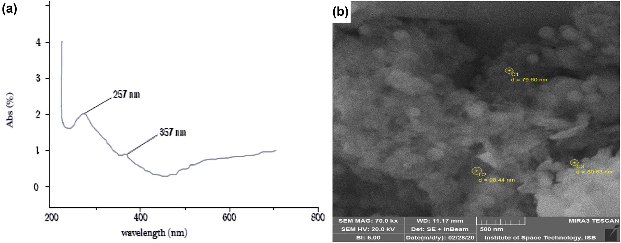 Figure 2 (a) UV-Visible spectrum showing the characteristic SPR band at 257 nm confirming the synthesis of SeNPs and (b) SEM image is showing that nanoparticles are anisotropic and irregular in shape and have a size range of 50–150 nm.